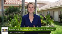 Pro2CaLL Termite & Pest Control Service, LLC Seminole Reviews Wonderful Five Star Review