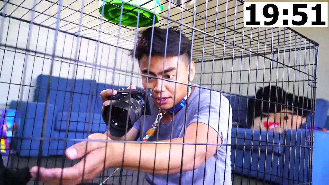 Escape The Dog Cage Challenge!