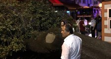 Kadıköy'de Kafenin Üzerine Ağaç Devrildi, 3 Kişi Yaralandı