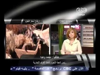 هنا العاصمه- لميس الحديدي - CBC-31-10-2011