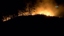 Alanya'daki Orman Yangınını Müdahale Sürüyor: 12 Yaralı