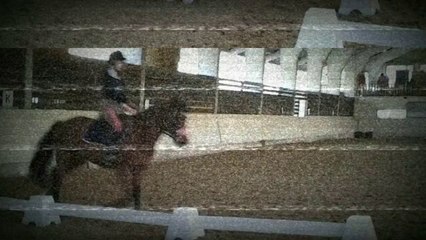 [Equestrian] Secrets - 1y. Noma