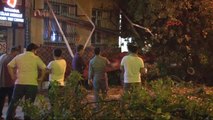 Kadıköy'de Kafenin Üzerine Ağaç Devrildi: 2 Yaralı