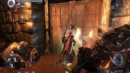 Nioh Pierre qui roule