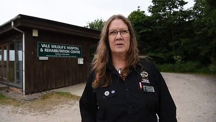 Gloucestershire Live _could a wildlife rescue centre be about to close after 33 years 24Jun17