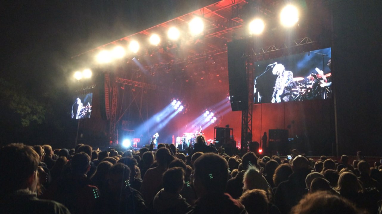 Nuit de l'Erdre : Les Insus