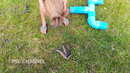 Wow! Amazing Fishing Trap How to Make a Simple Fish Trap To Catch Fish