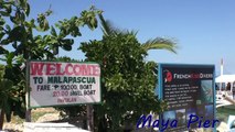 Thresher Cove Dive Resort   Best Resorts in Malapascua Cebu