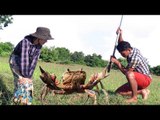 Creative Man Catching crabs in Deep hole in Battambang Province