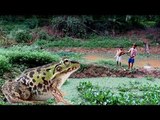 Creative children catch big frog using fish hook-How to find frogs in my Village