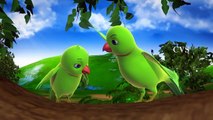 Chitti Chilakamma Parrots 3D Animation Telugu Rhymes for children with lyrics