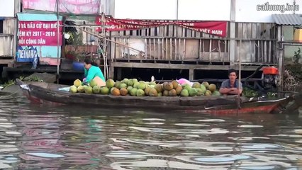 Tân Cổ - Cô Gái Bán Sầu Riêng - Minh Cảnh & Mỹ Châu