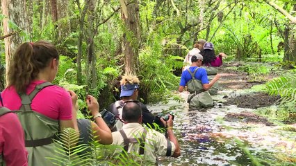 Dans les Everglades, vétérans et jeunes se reconstruisent