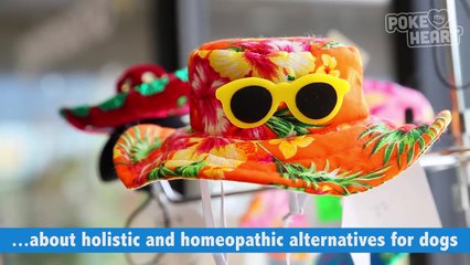 The Wylder Foundation Dog Rescue Video 2016 - Daily Heart Beat