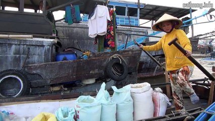 Tân Cổ - Hình Bóng Quê Nhà - Minh Cảnh & Cẩm Tiên