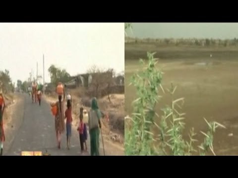 News Cafe | Top Stories | April 15th, 2016 | 8:00 AM