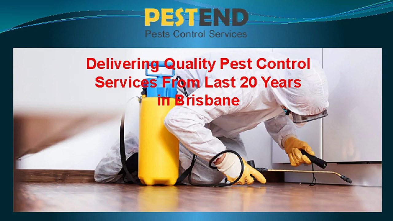 Pest_Control_Services