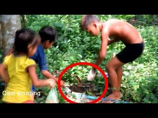 How to dig cricket insect in Battambang - Finding cricket insect in the hole by Digging