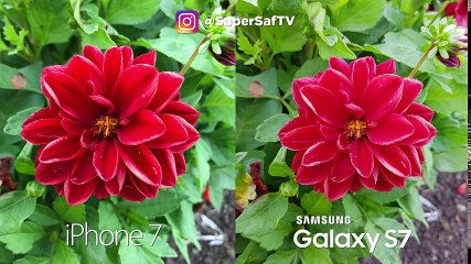 iPhone 7 vs Samsung Galaxy S7 Camera Test Comparison