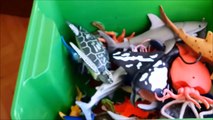 Shark Toys Kids Toy Box Sals Toy Whales sea turtles caretta caretta turtles