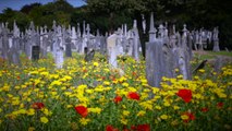 5 Most Haunted Cemeteries In The World