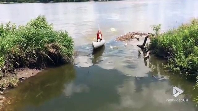 Peche miraculeuse, les carpes sautent directement dans le bateau