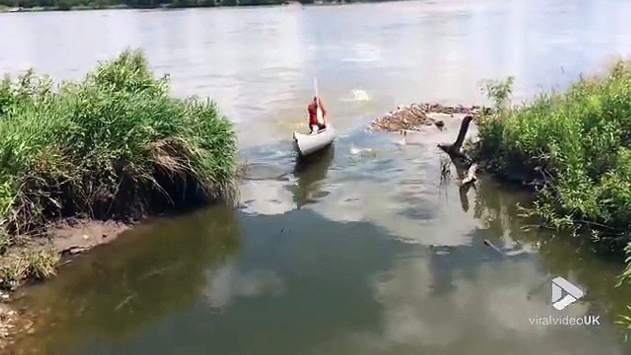 Peche miraculeuse, les carpes sautent directement dans le bateau