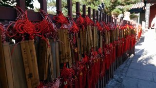 ON THE GREAT WALL OF CHINA   BEIJING VLOG DAY 1   collect moments 4k