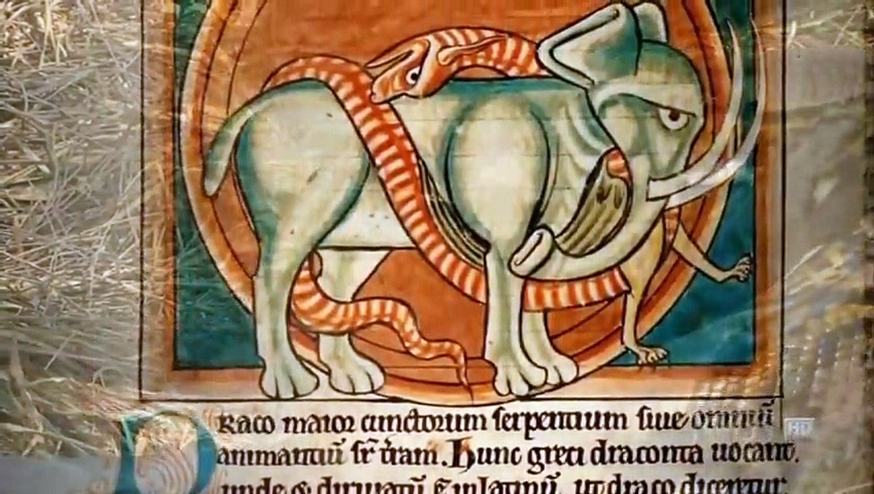 The Dragon Chronicles