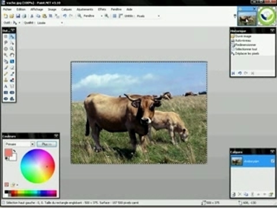 La fonction enregistrer sous dans Paint.NET