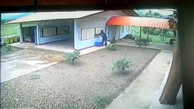 Le pire cambrioleur de l'année