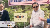 タモリ倶楽部 2017年6月9日 虫刺され対策