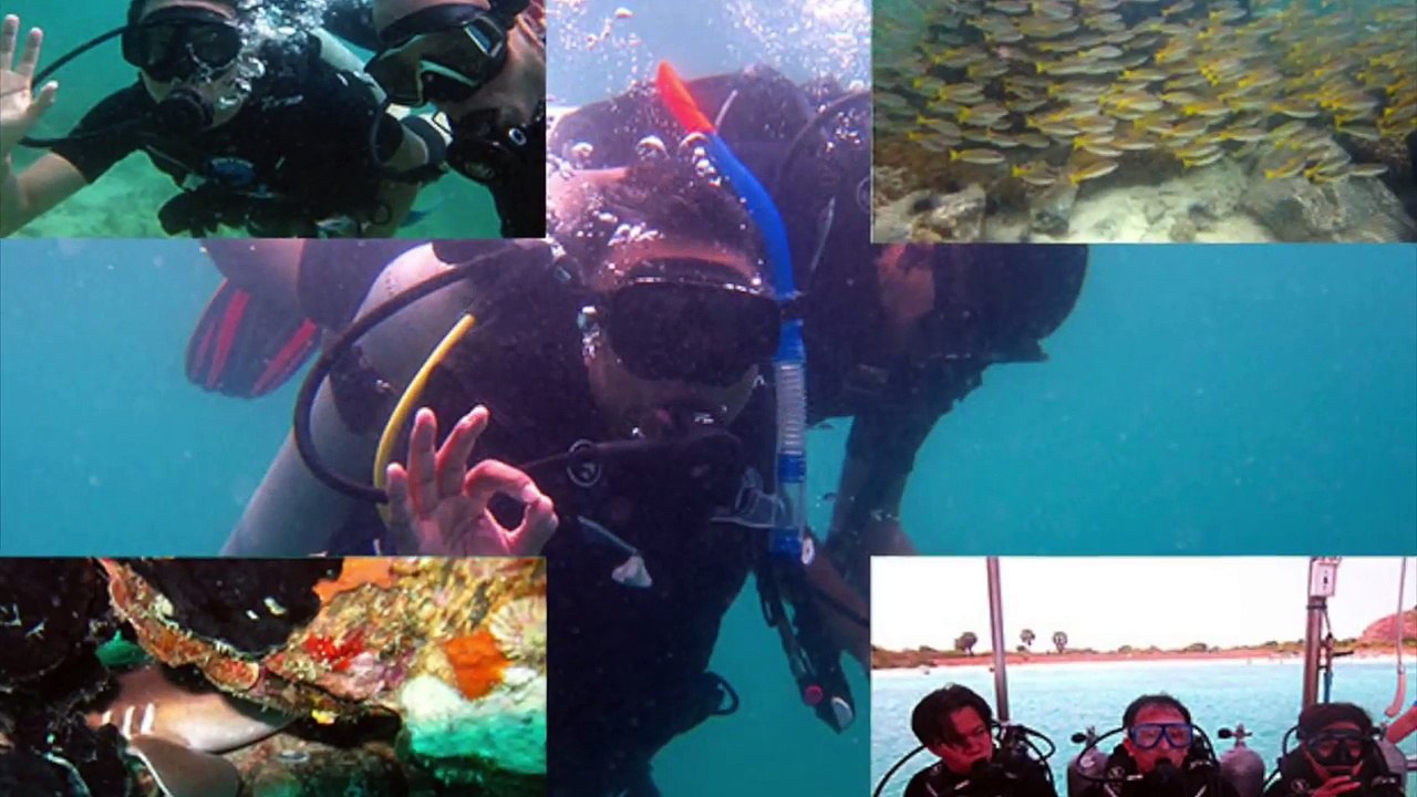 PadiRescue Diver Courses