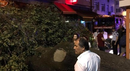Kadıköy'de asırlık ağaç kafenin üzerine devrildi: 2 yaralı
