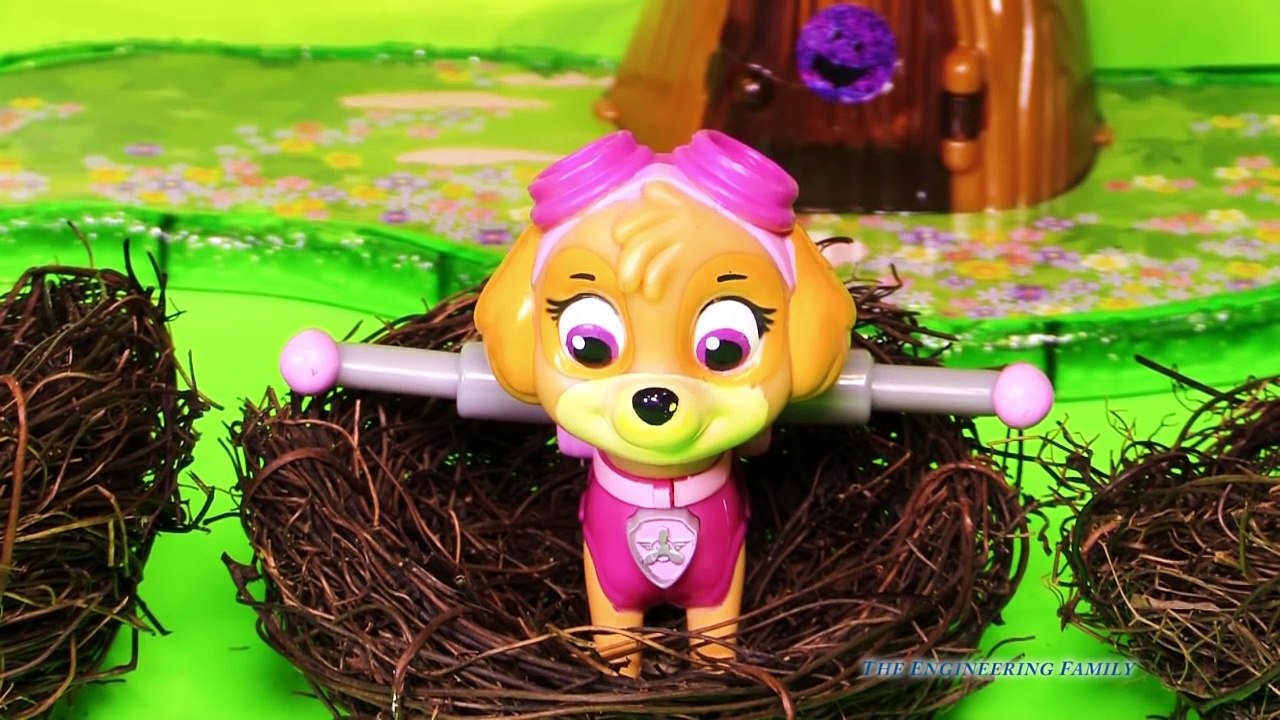 Patte patrouille la famille