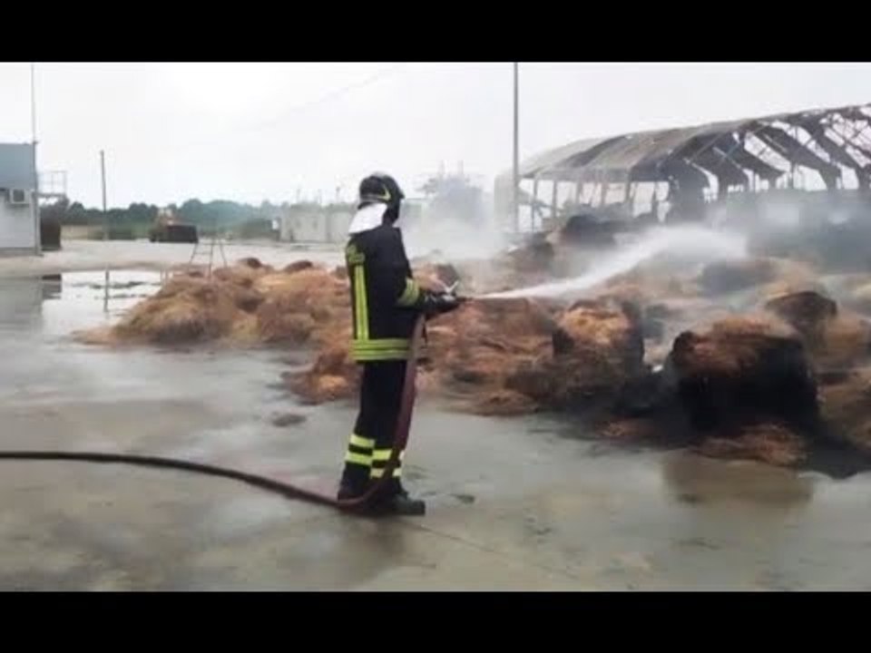 San Pietro in Campiano (RA) - Incendio di rotoballe in azienda agricola (01.07.17)