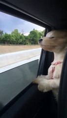 L'art de prendre l'air frais