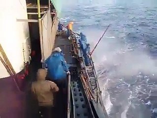 Most funny videos 2017  TOP MOST Funny Videos 2017 34