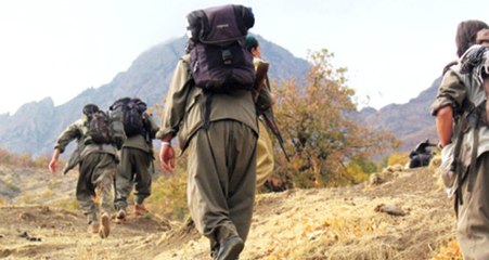 Gri Listedeki PKK'lı Terörist Mehmet Doğan Öldürüldü!