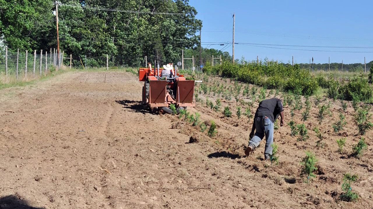 Netafim is a smart drip and Micro irrigation  for Trees and Shrubs