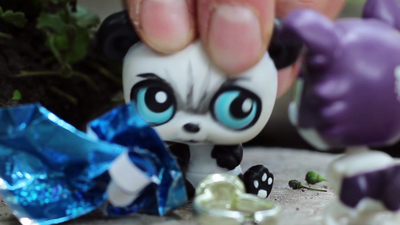 LPS Self-Awareness Part 1
