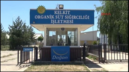 Gümüşhane- Kelkit Organik Tarım ve Hayvancılık Festivali Başladı