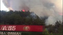 Izmir'de Makilik Alanda Yangın (2)