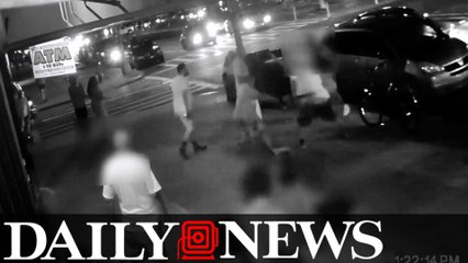 Cops are on the hunt for a vicious trio that attacked a woman with a bat