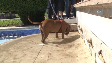 Adana'da 39 Yılın En Sıcak Günü