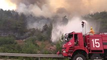 Izmir'deki Makilik ve Orman Yangını (1)