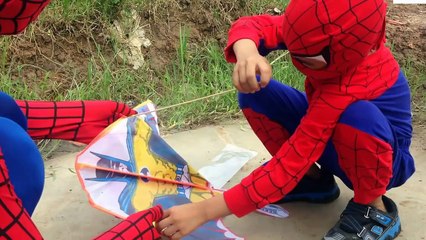 Cometa hombre araña Cometa en el campo |