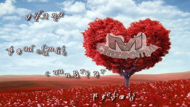 Iosif Anca - Viata de familie cu un partener (ne)evlavios