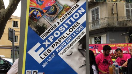 Papillons Carpentras