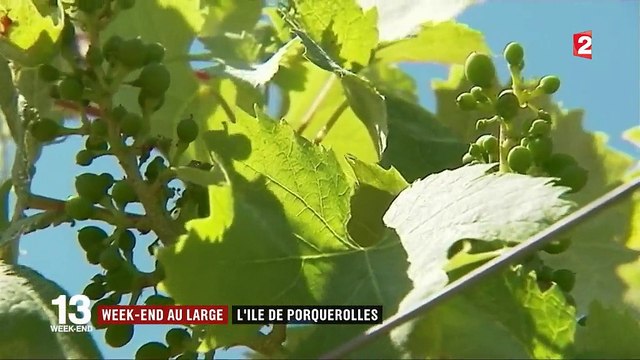 Week-end au large : l'île de Porquerolles